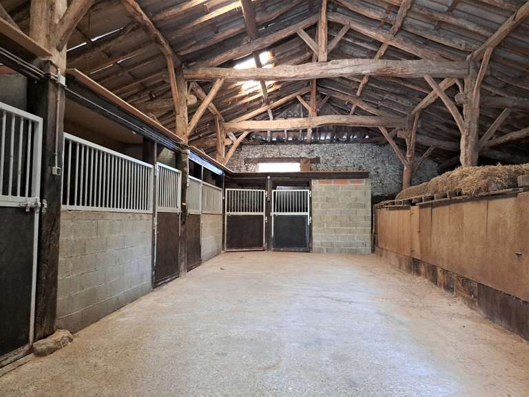 Maison Sainte-Colombe-de-Villeneuve - 4 chambres - 240m²