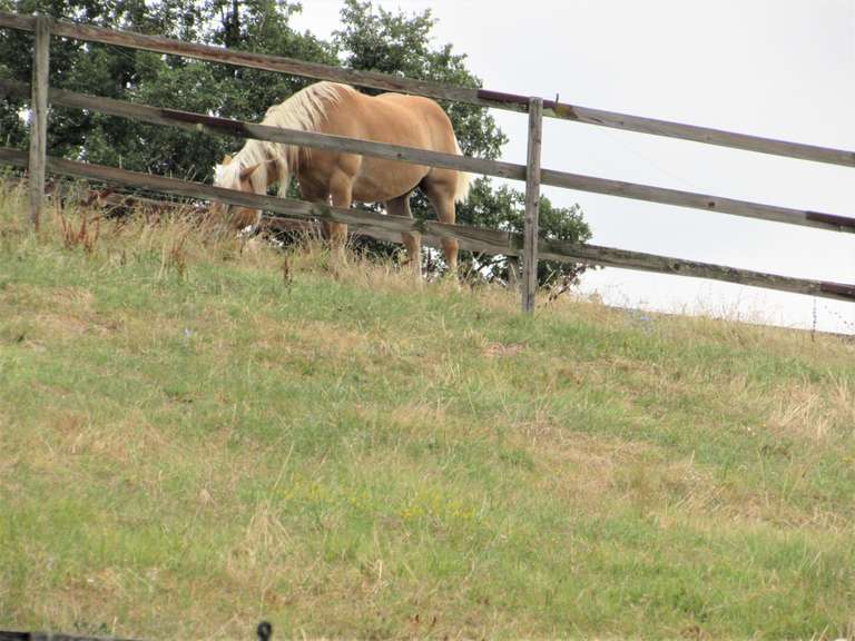 Maison Sainte-Colombe-de-Villeneuve - 4 chambres - 240m²