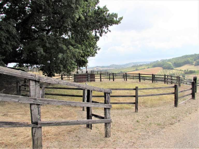 Maison Sainte-Colombe-de-Villeneuve - 4 chambres - 240m²