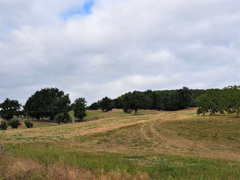 Maison Sainte-Colombe-de-Villeneuve - 4 chambres - 240m²