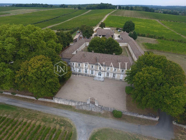 Sale Vineyard Sainte-Foy-la-Grande