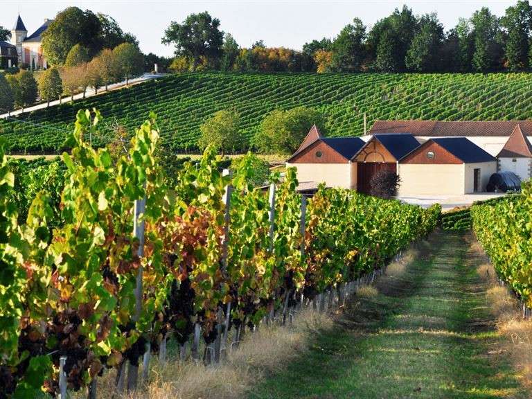 Domaine viticole Sainte-Foy-la-Grande - 620m²