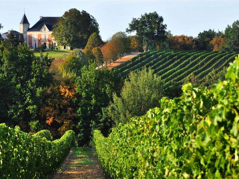 Domaine viticole Sainte-Foy-la-Grande
