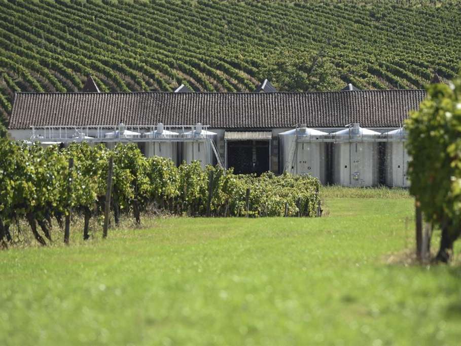 Domaine viticole Sainte-Foy-la-Grande