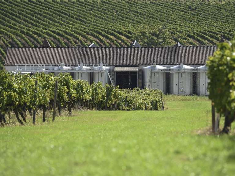 Domaine viticole Sainte-Foy-la-Grande - 620m²