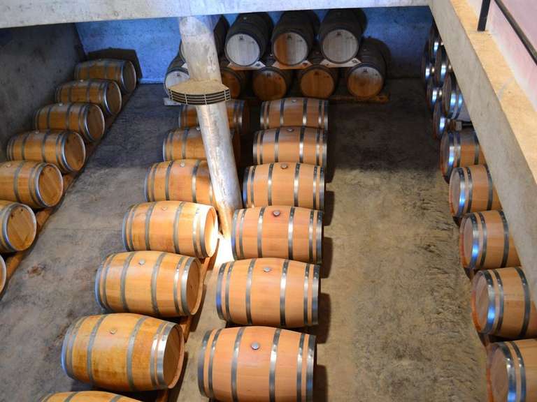 Domaine viticole Sainte-Foy-la-Grande - 620m²