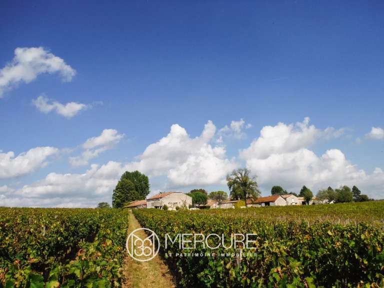 Propriété Sainte-Foy-la-Grande - 10 chambres - 400m²