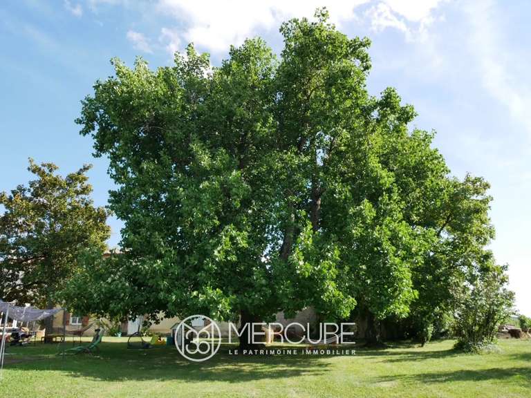 Propriété Sainte-Foy-la-Grande - 10 chambres - 400m²