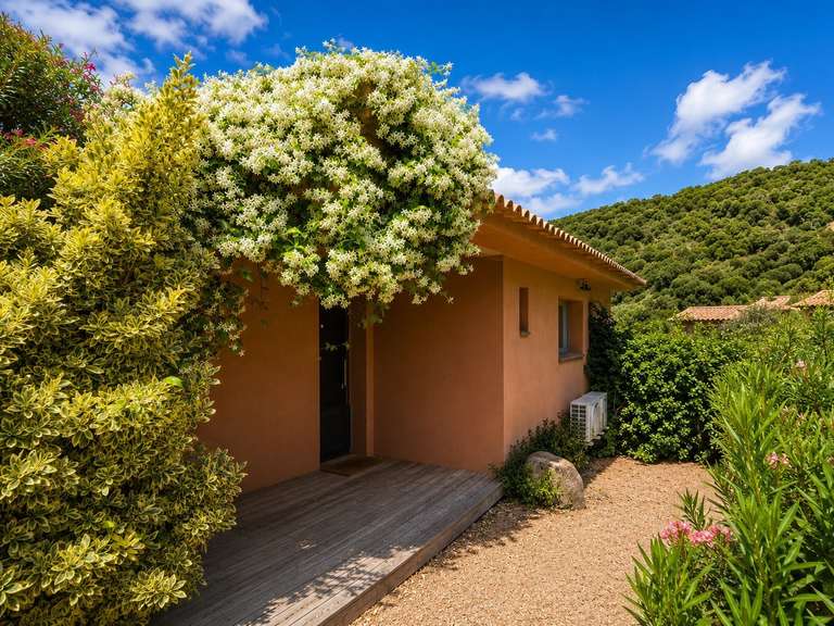 Maison Sainte-Lucie-de-Porto-Vecchio - 4 chambres - 283m²