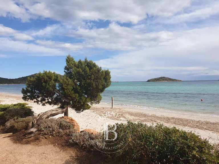 Terrain Sainte-Lucie-de-Porto-Vecchio - 1659m²