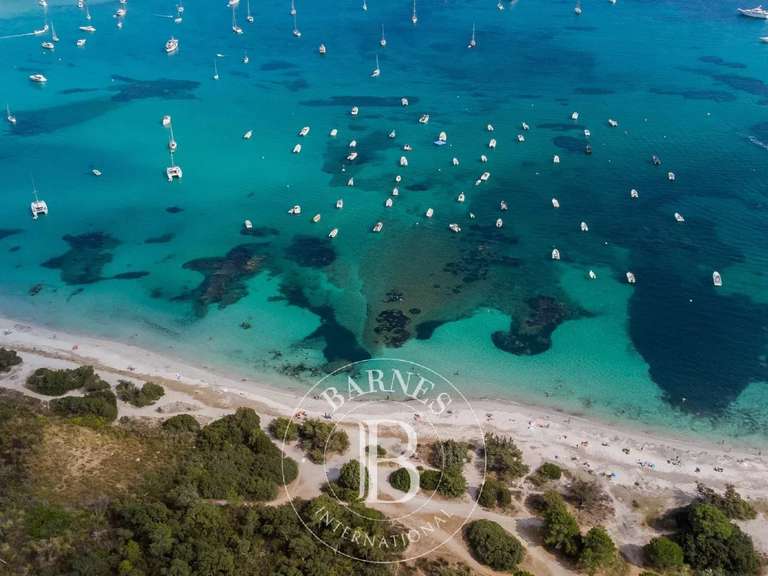 Terrain Sainte-Lucie-de-Porto-Vecchio - 2059m²
