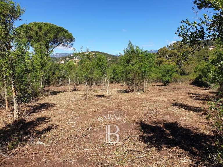 Terrain Sainte-Lucie-de-Porto-Vecchio - 2096m²