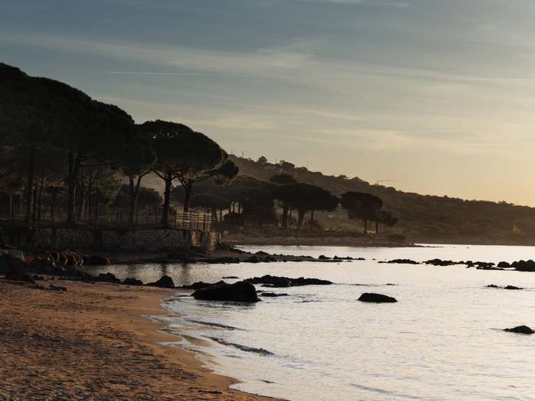 Villa Sainte-Lucie-de-Porto-Vecchio - 7 bedrooms - 693m²