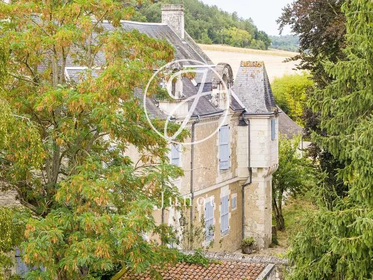 Manoir Sainte-Maure-de-Touraine - 7 chambres - 580m²