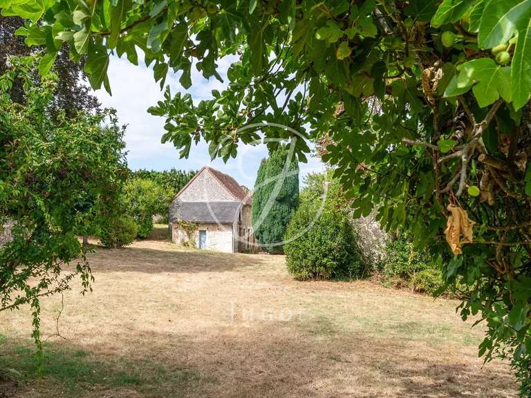 Manoir Sainte-Maure-de-Touraine - 7 chambres - 580m²