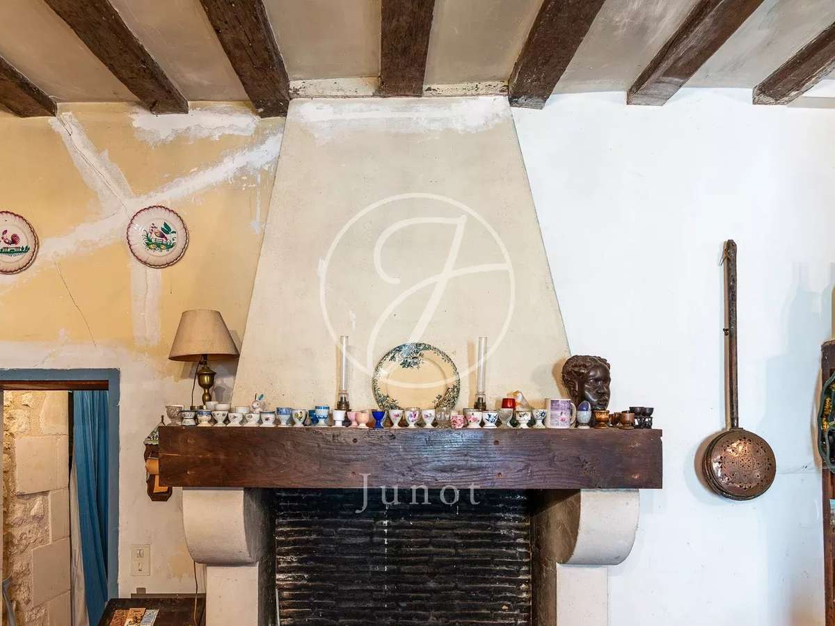 Manor Sainte-Maure-de-Touraine