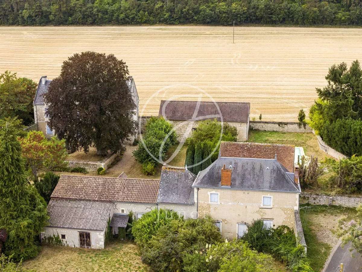 Manor Sainte-Maure-de-Touraine