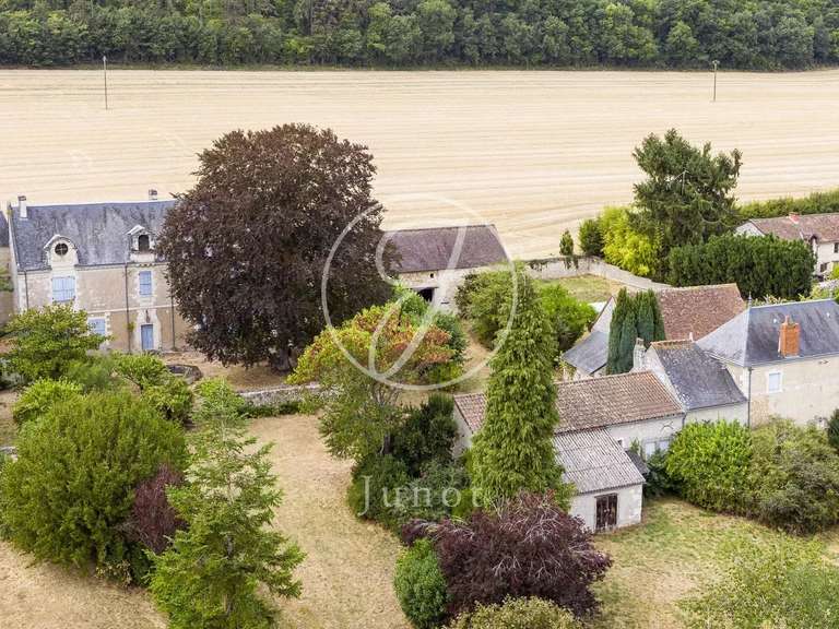 Manoir Sainte-Maure-de-Touraine - 7 chambres - 580m²