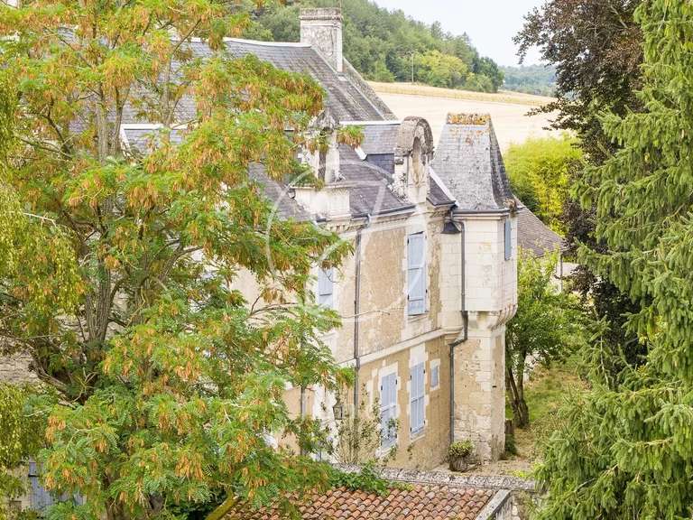 Manoir Sainte-Maure-de-Touraine - 7 chambres - 580m²
