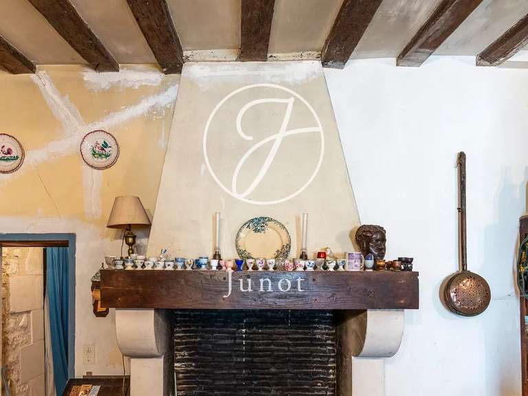 Manoir Sainte-Maure-de-Touraine - 7 chambres - 580m²