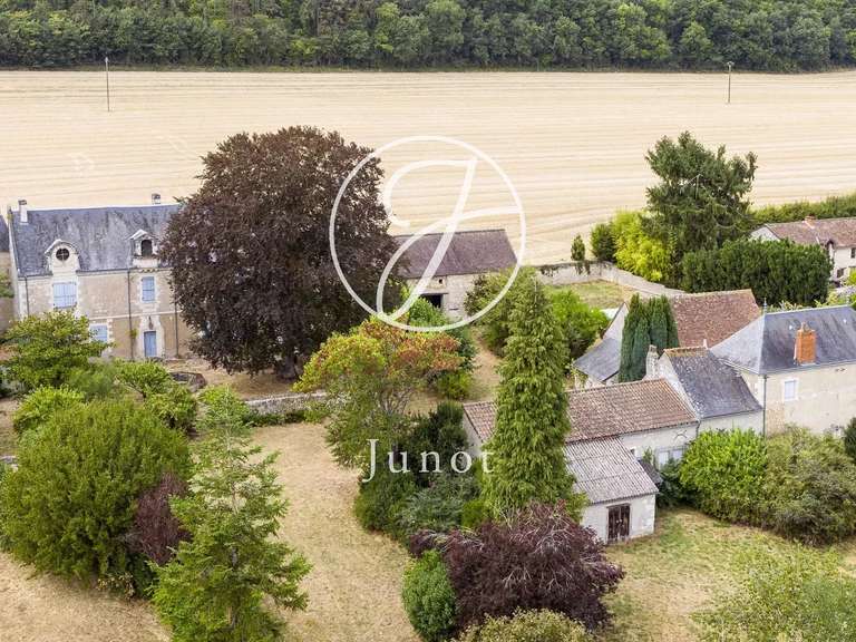 Manoir Sainte-Maure-de-Touraine - 7 chambres - 580m²