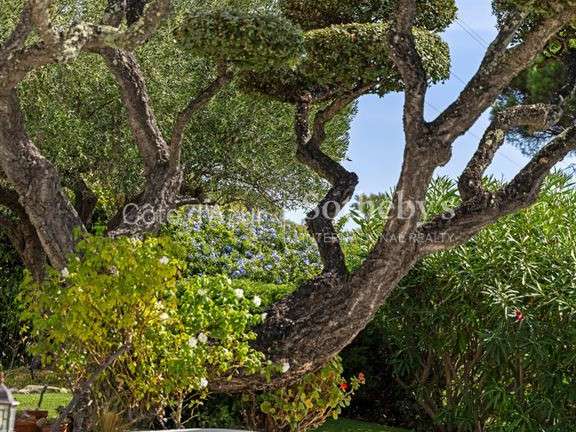 Maison Sainte-Maxime - 3 chambres - 125m²