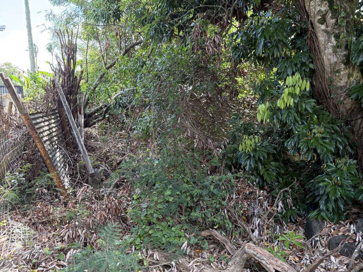 House Sainte-Suzanne