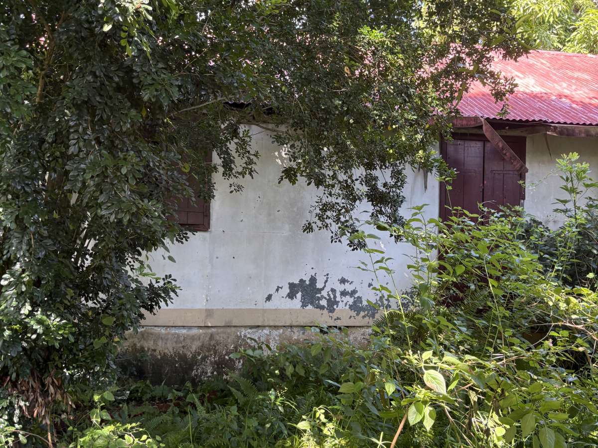 House Sainte-Suzanne