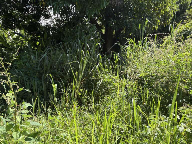 House Sainte-Suzanne - 2390m²