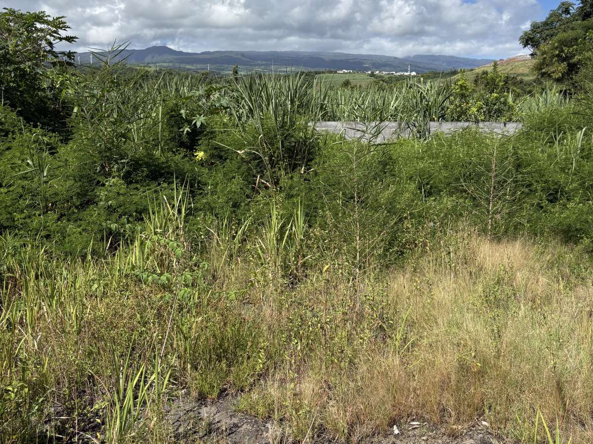 Terrain Sainte-Suzanne