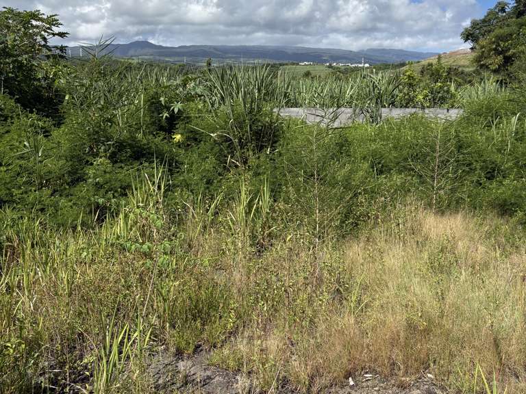 Terrain Sainte-Suzanne - 2390m²