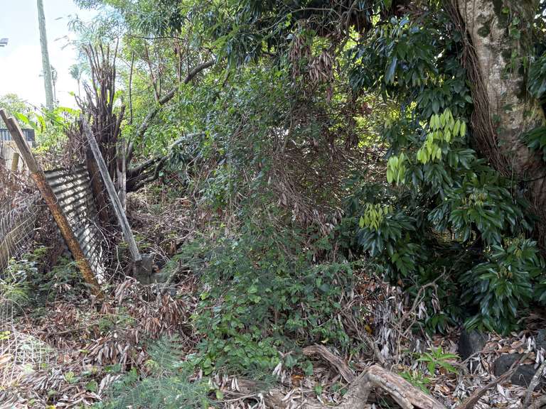 Terrain Sainte-Suzanne - 2390m²