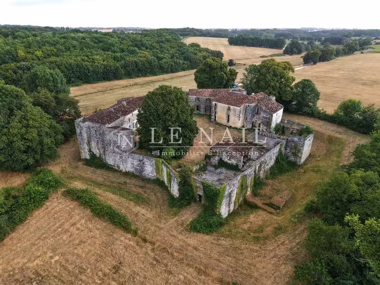 Château Saintes - 6 chambres - 700m²