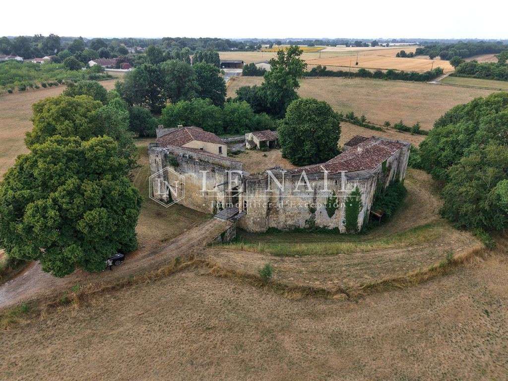 Château Saintes