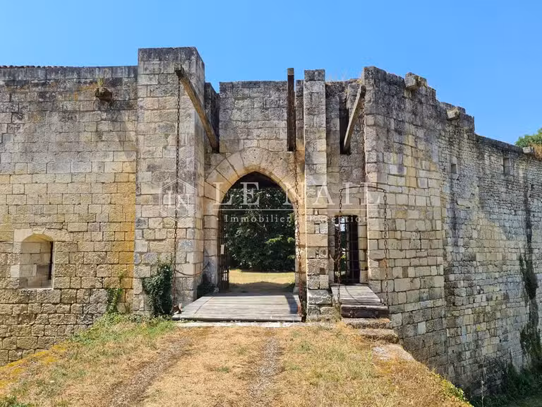 Château Saintes - 6 chambres - 700m²
