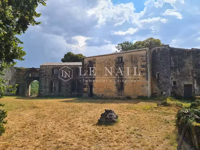 Château Saintes - 6 chambres - 700m²