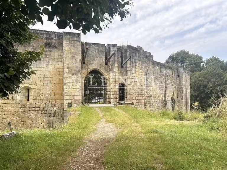 Château Saintes - 6 chambres - 700m²