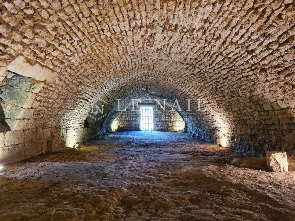 Château Saintes