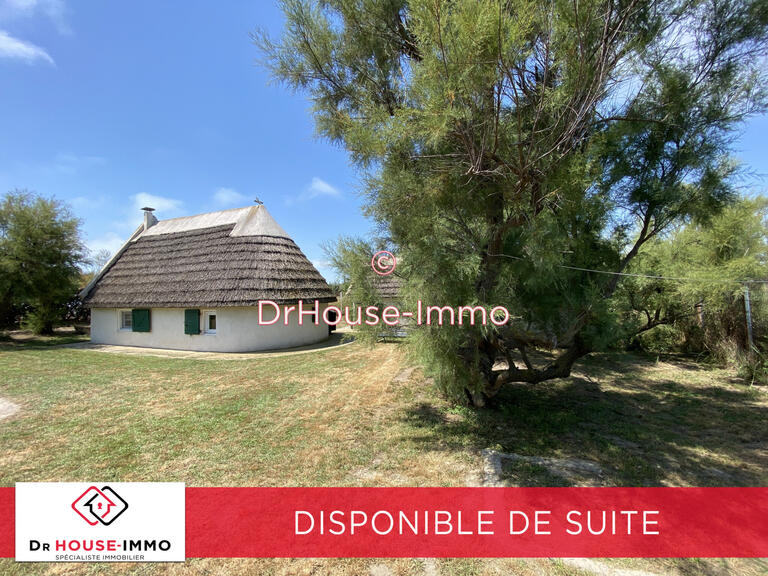 Villa Saintes-Maries-de-la-Mer - 2 bedrooms - 60m²