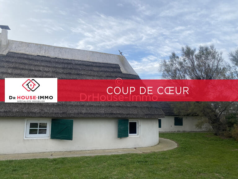 Villa Saintes-Maries-de-la-Mer - 2 bedrooms - 60m²