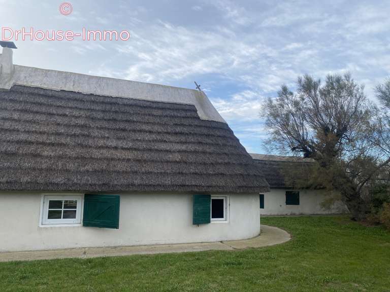 Villa Saintes-Maries-de-la-Mer - 2 bedrooms - 63m²