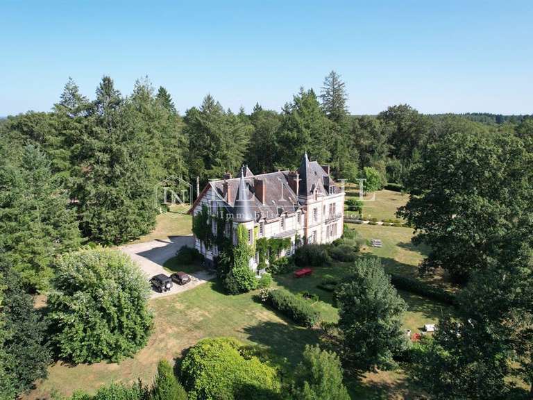 Castle Salbris - 9 bedrooms - 700m²