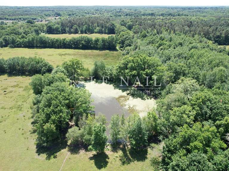 House Salbris - 110m²