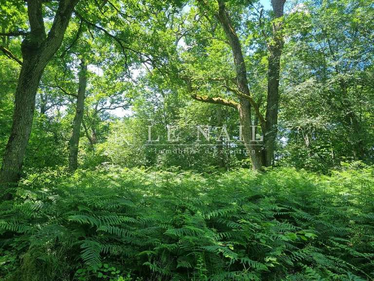 House Salbris - 110m²