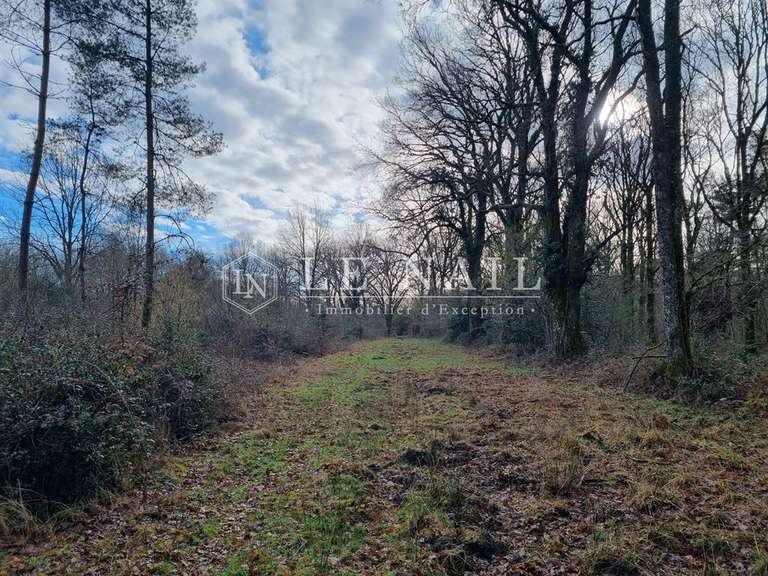 House Salbris - 4 bedrooms - 215m²