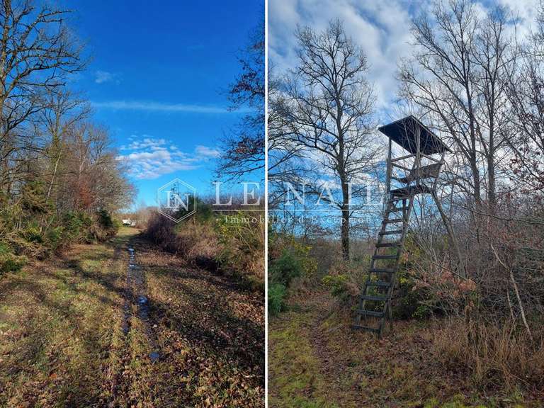 House Salbris - 4 bedrooms - 215m²