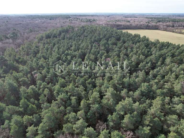 House Salbris - 4 bedrooms - 215m²