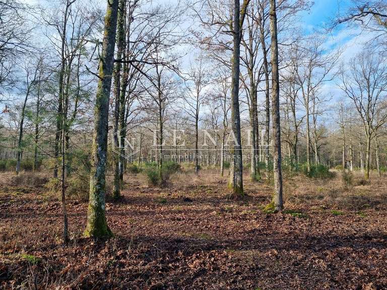 House Salbris - 4 bedrooms - 215m²