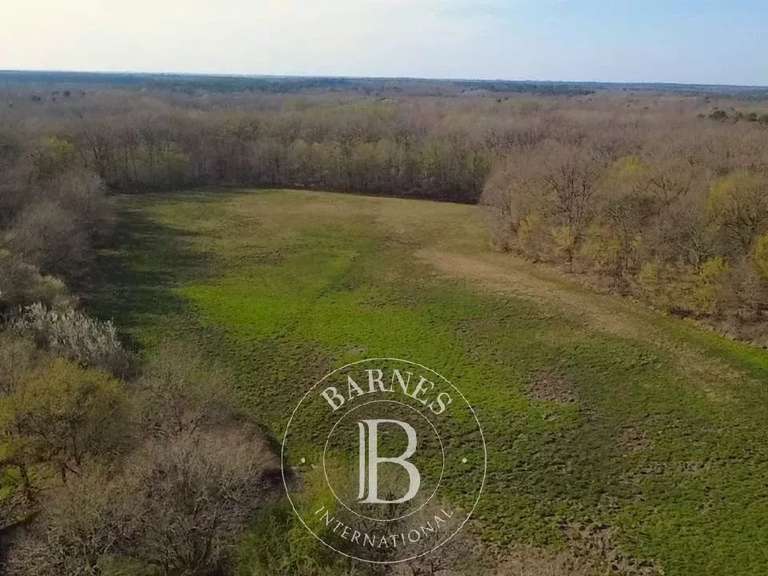 Maison Salbris - 4 chambres - 550m²