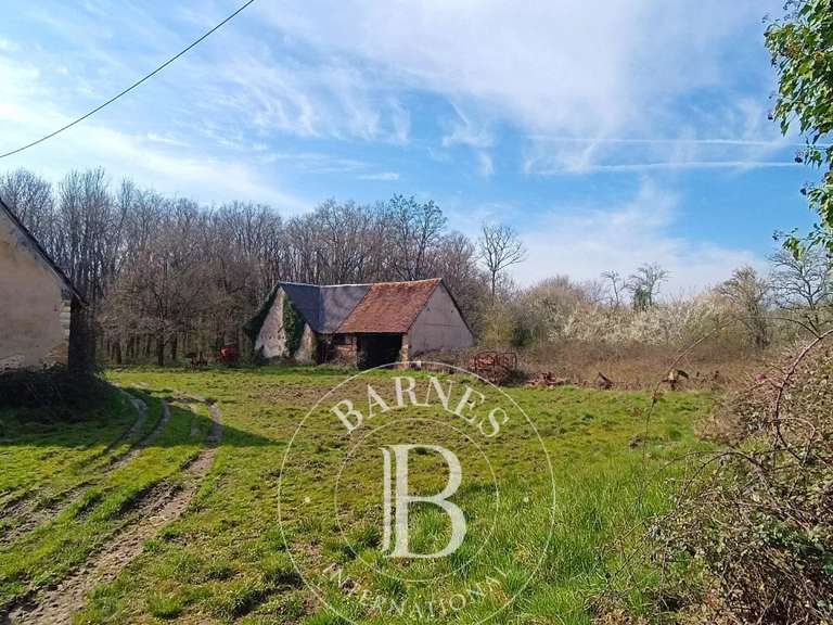 Maison Salbris - 4 chambres - 550m²